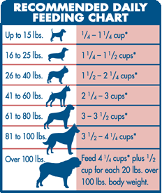 26 Top Pictures Puppy Exercise Chart / Puppy Training Guidelines Pets